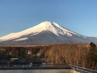 61C94F23-6FF9-4A3B-B5F4-6BDD9B12443A.jpeg