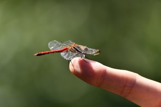 0332A875-2505-4A2E-88D1-F5DF235B06D1.jpeg