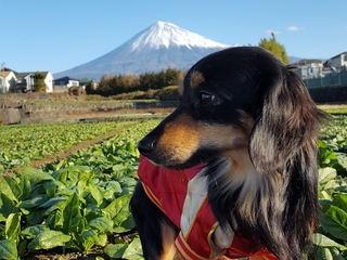 20190115_234120.jpg