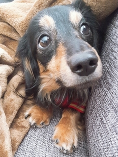 20190115_234150.jpg