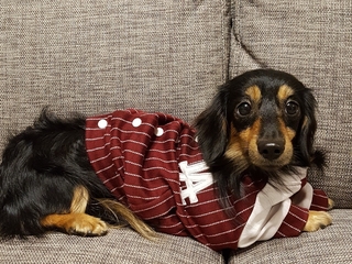 20190115_234354.jpg