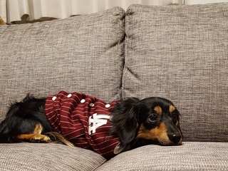20190115_234424.jpg
