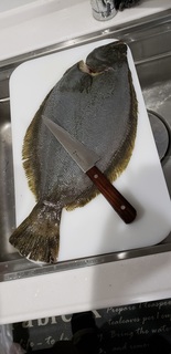 20190518_170107.jpg