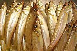 250px-Sunday_fishing_in_Tokyo_bay.jpg