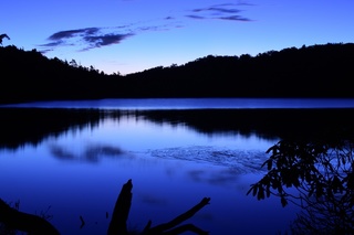32A8D25A-F5CA-4B28-A9C0-53D307C1D630.jpeg