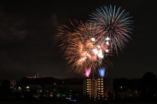 86D27168-518C-46A7-B698-7446F176655B.jpeg