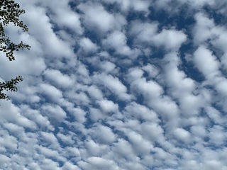 B1C47664-7EDE-481F-AC9A-9E0133D6AFE7.jpeg