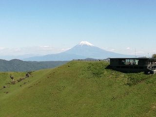 IMG_20180504_091657.jpg