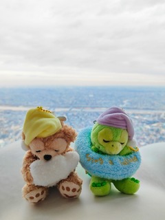 IMG_20250123_222549.jpg