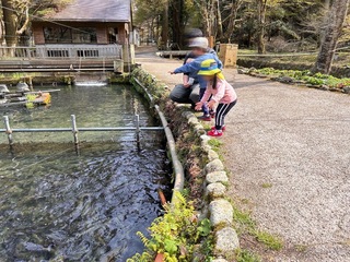 IMG_8148.jpeg