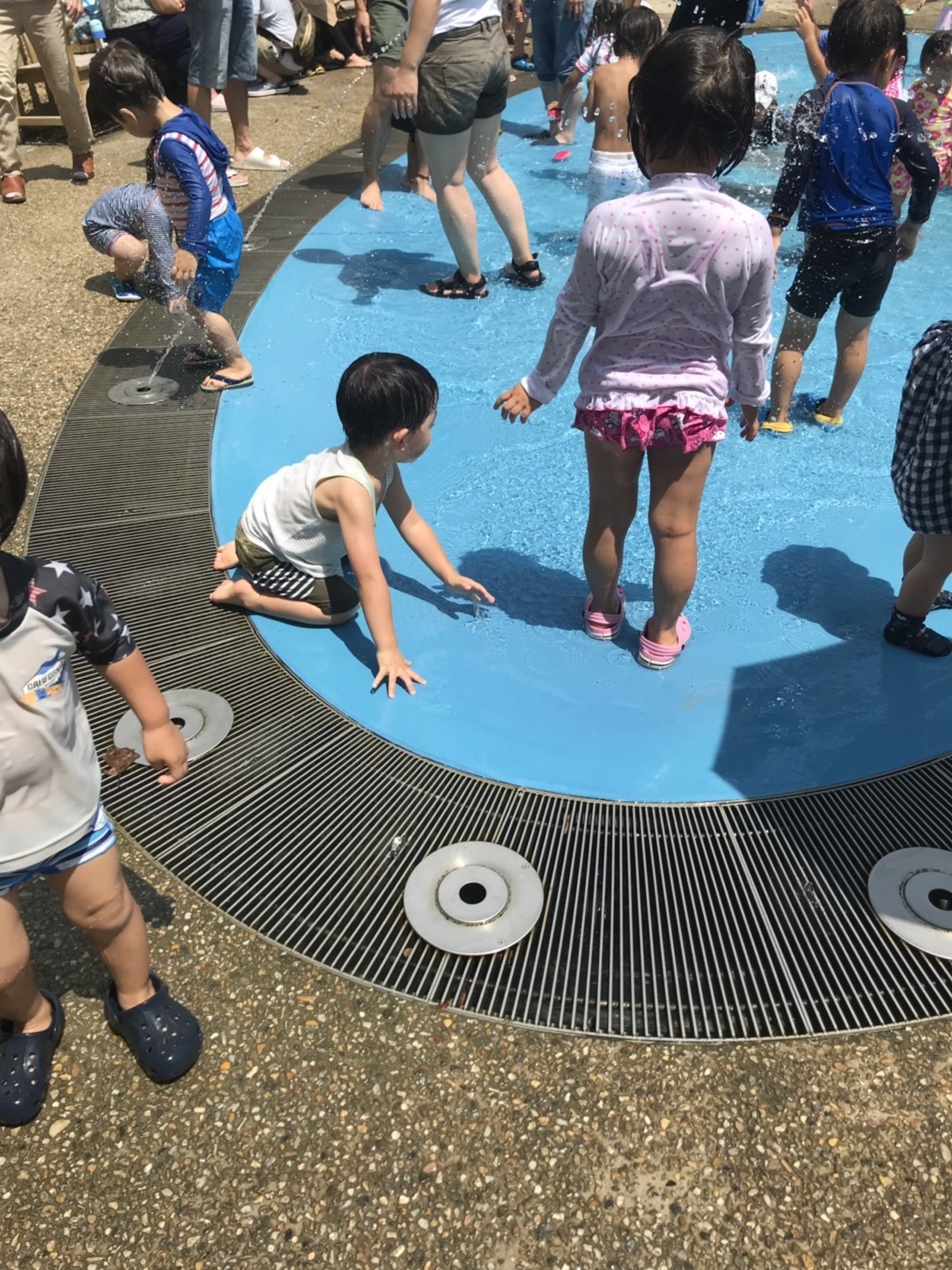 S__14311427.jpg