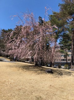S__3211279.jpg