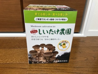 image-f61a5.jpg
