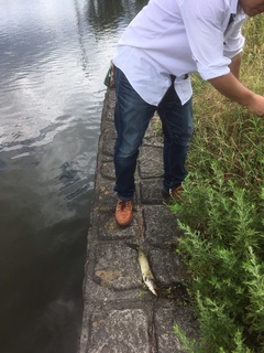image3.jpeg