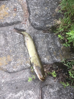 image4.jpeg