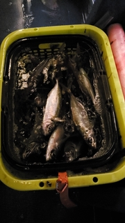 line_1571490403950.jpg