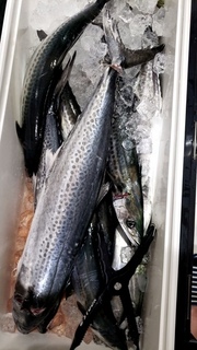 line_1580042490539.jpg