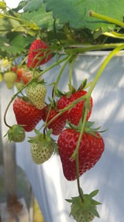 line_341479552519983.jpg